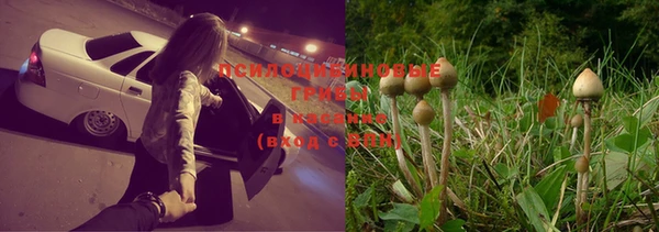кокаин колумбия Верея