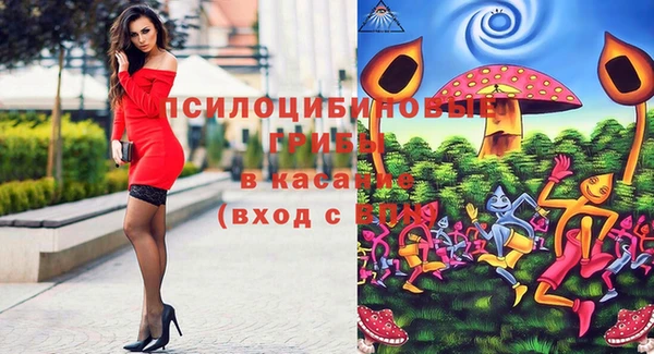 хмурый Верхний Тагил